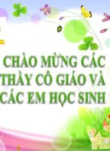Bài giảng Toán Lớp 7 (Sách Chân trời sáng tạo) - Ôn tập chương 1 (Tiết 3) - Năm học 2022-2023